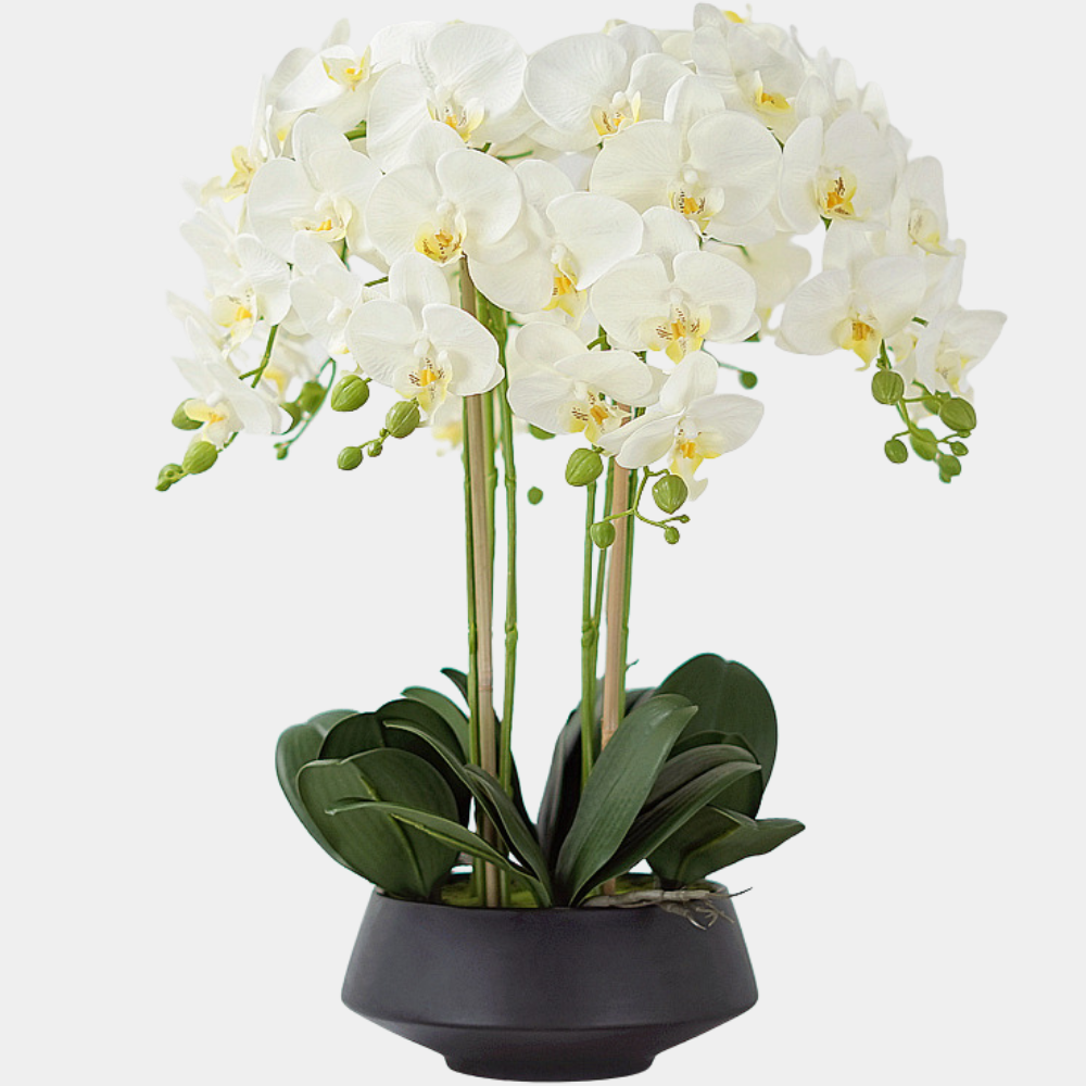 Orhidee Artificiala Phalaenopsis Alba XXL – 53 cm, ghiveci ceramic inclus