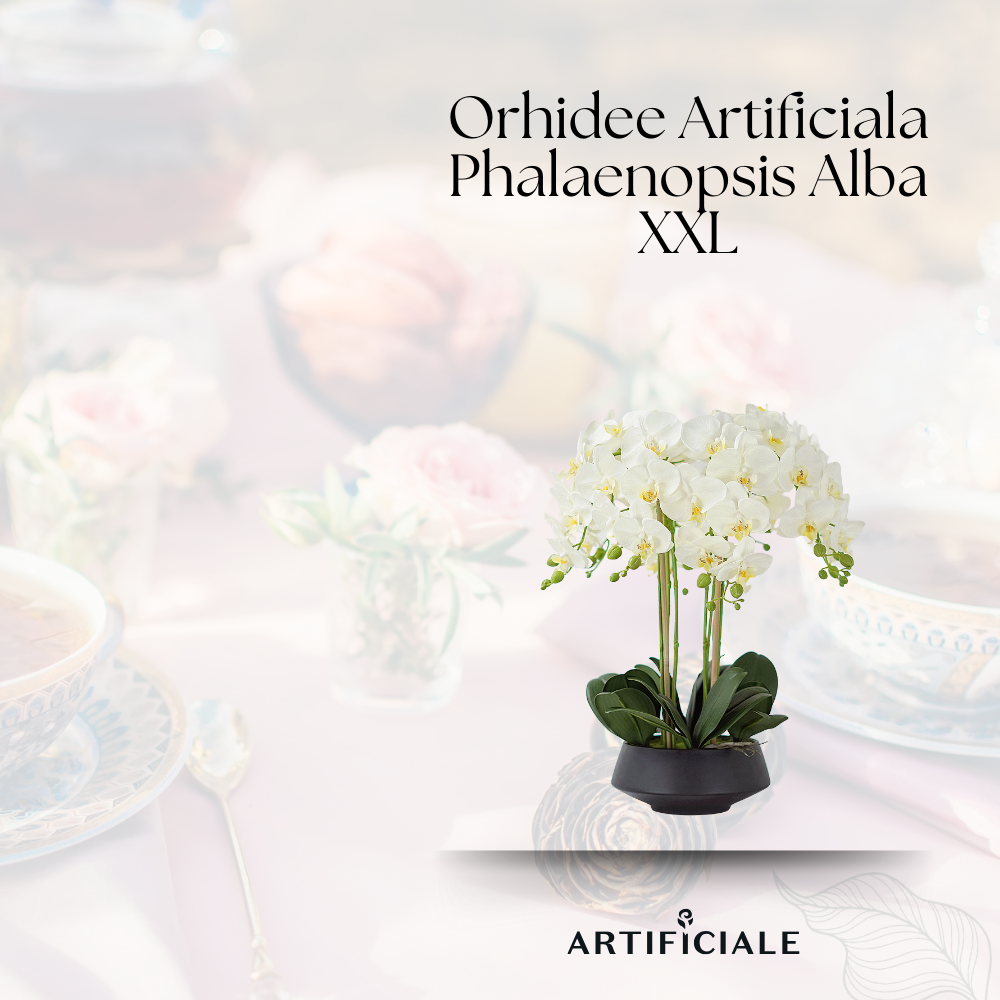Orhidee Artificiala Phalaenopsis Alba XXL – 53 cm, ghiveci ceramic inclus