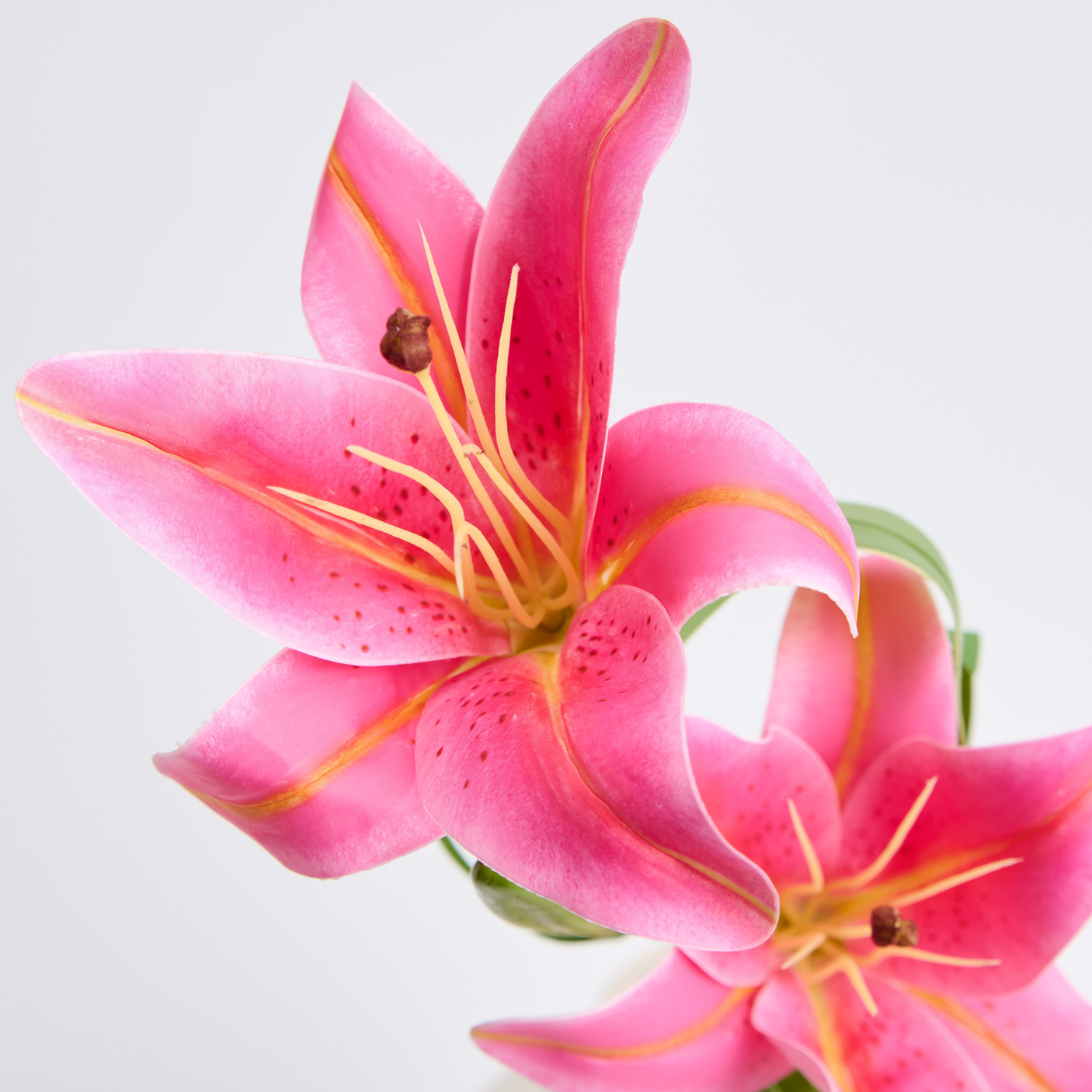 Crin Artificial 3D cu 2 Flori – 1 Fir, Roz sau Alb, 58 cm