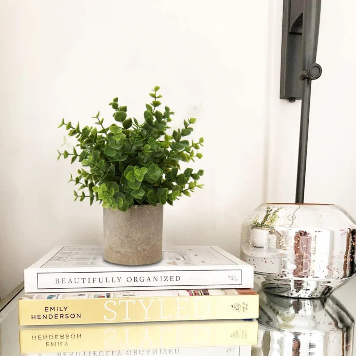 Set 2 Plante Artificiale în Ghiveci – Eucalipt și Ficus 22cm, Decor Natural