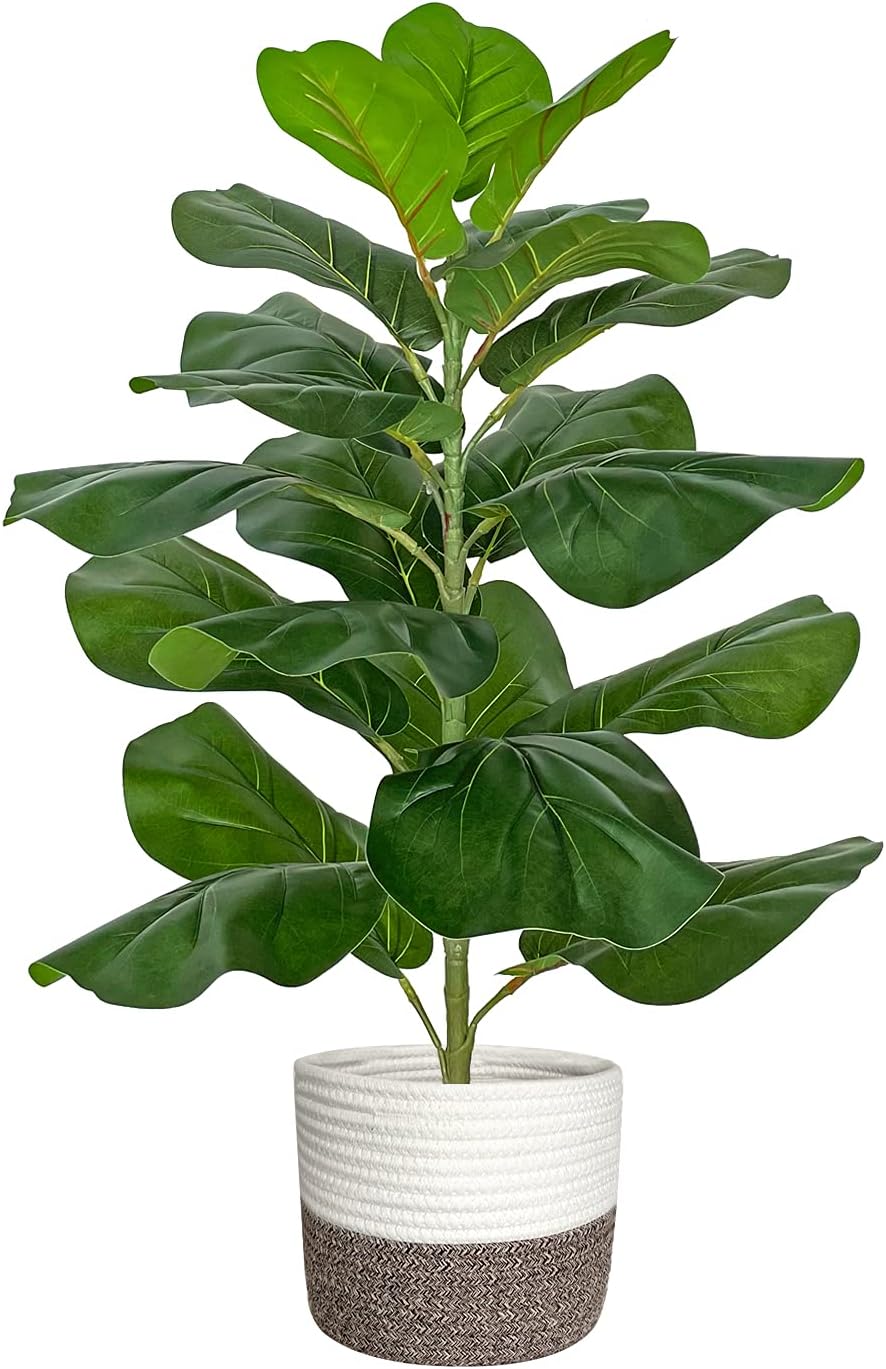 Planta Artificiala Ficus Lyrata – 60 cm, cu ghiveci din plastic si cos decorativ din bumbac
