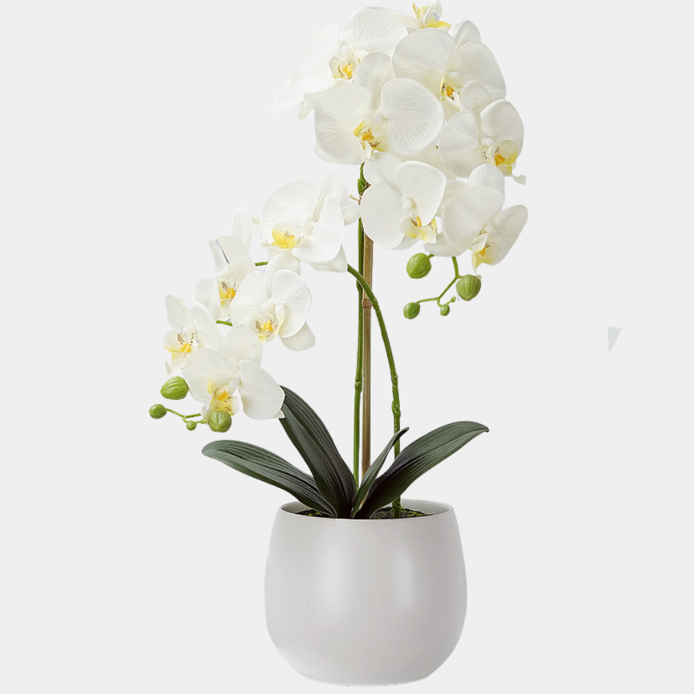 Orhidee Artificiala Phalaenopsis Alba – 45 cm, 2 tije bogate, ghiveci ceramic alb