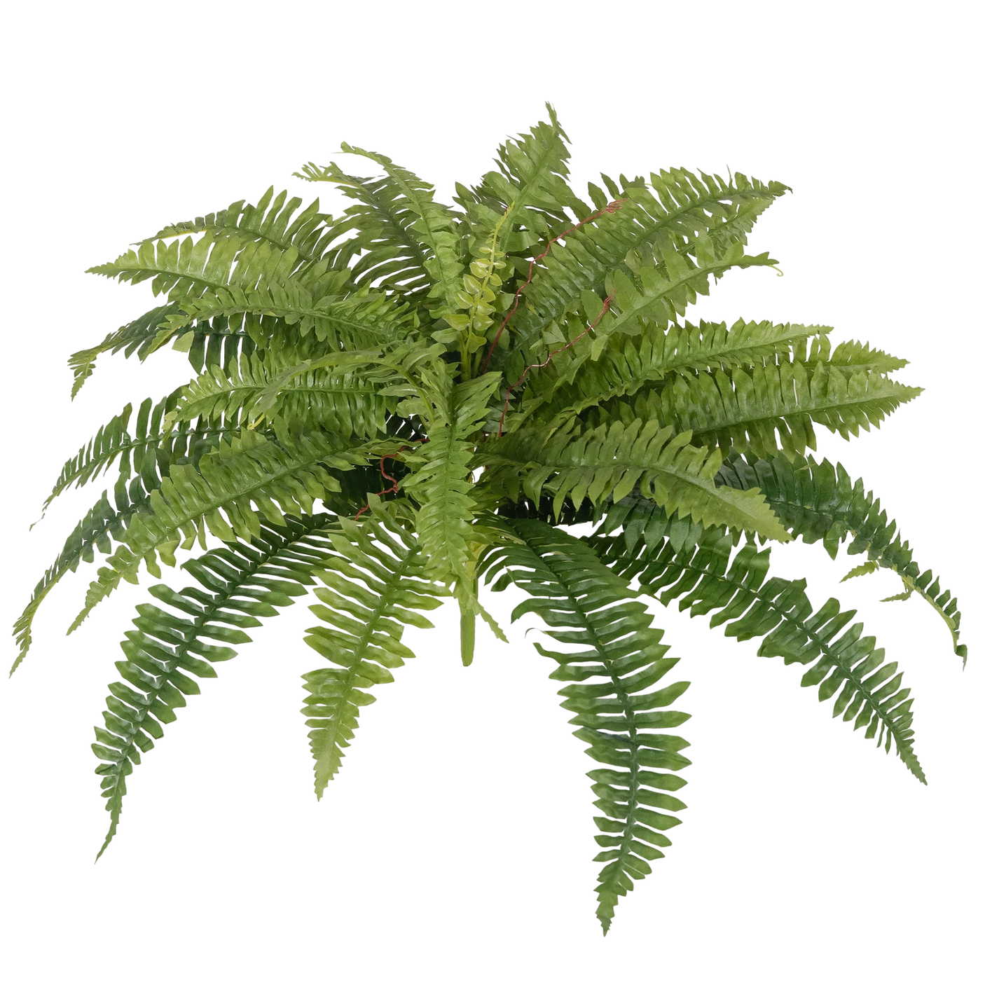 Feriga Artificiala Boston – 40 cm, 24 frunze, 1 sau 3 fire