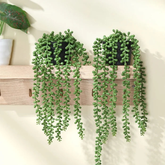Planta Artificiala Agatatoare Colier de Perle (String of Pearls) 45cm, Ghiveci Negru