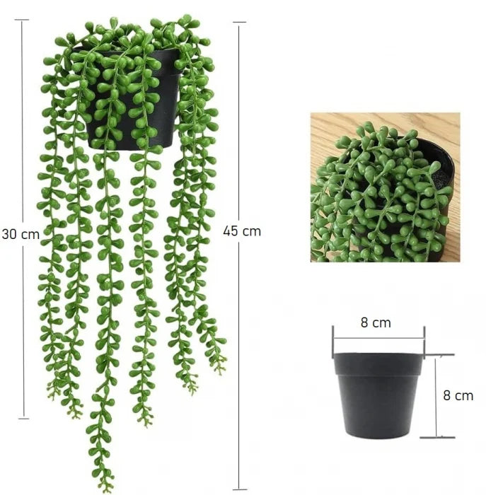 Planta Artificiala Agatatoare Colier de Perle (String of Pearls) 45cm, Ghiveci Negru