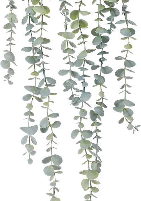 Planta Artificiala Agatatoare Eucalipt (Eucalyptus) Verde 56cm, Ghiveci Negru