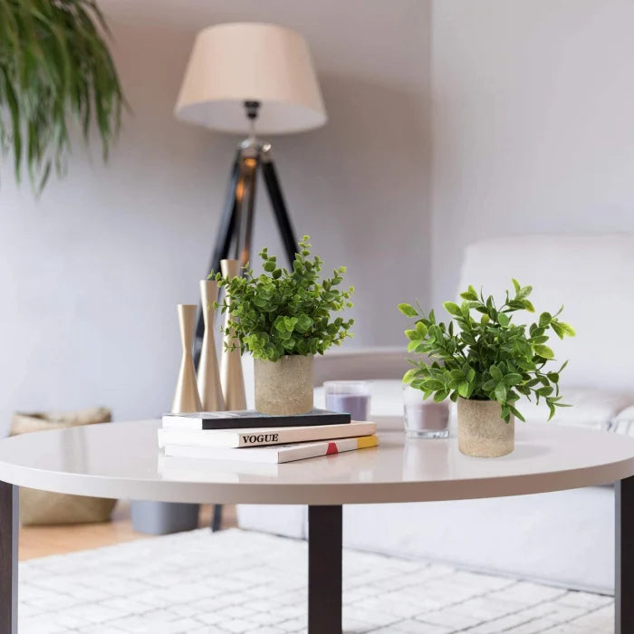 Set 2 Plante Artificiale în Ghiveci – Eucalipt și Ficus 22cm, Decor Natural