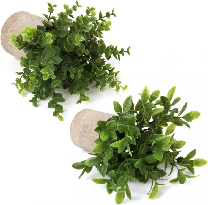 Set 2 Plante Artificiale în Ghiveci – Eucalipt și Ficus 22cm, Decor Natural
