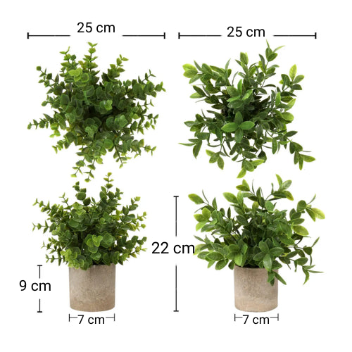 Set 2 Plante Artificiale în Ghiveci – Eucalipt și Ficus 22cm, Decor Natural