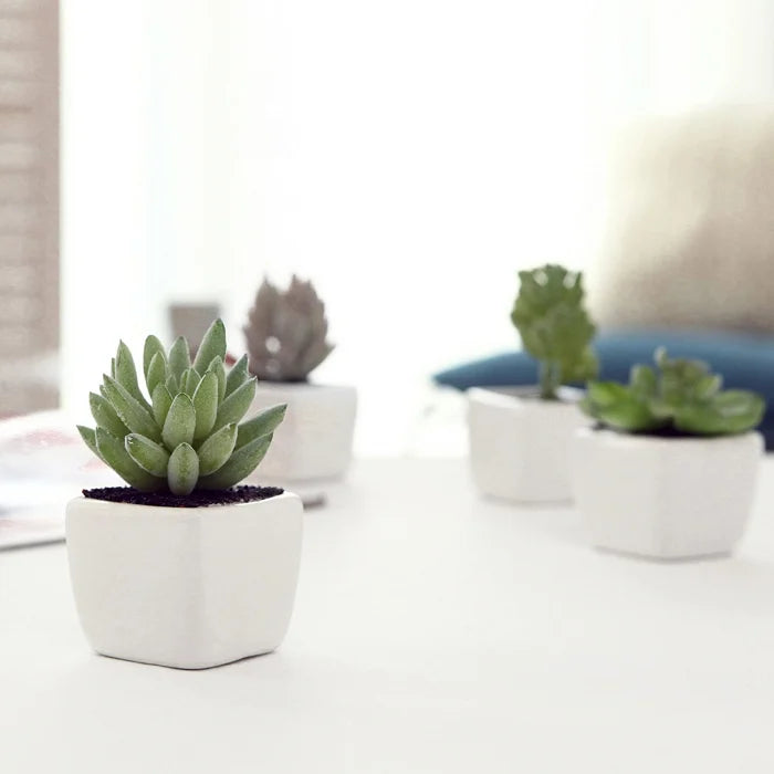 Set 4 Plante Artificiale în Ghivece din Ceramică în Formă de Cub Alb Modern, Inaltime 8 cm