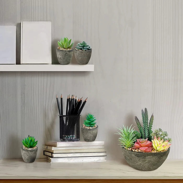 Set 5 Plante Artificiale Suculente Realist Confecționate cu Ghivece din Piatra, Inaltime 18 cm
