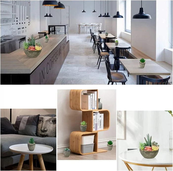 Set 5 Plante Artificiale Suculente Realist Confecționate cu Ghivece din Piatra, Inaltime 18 cm