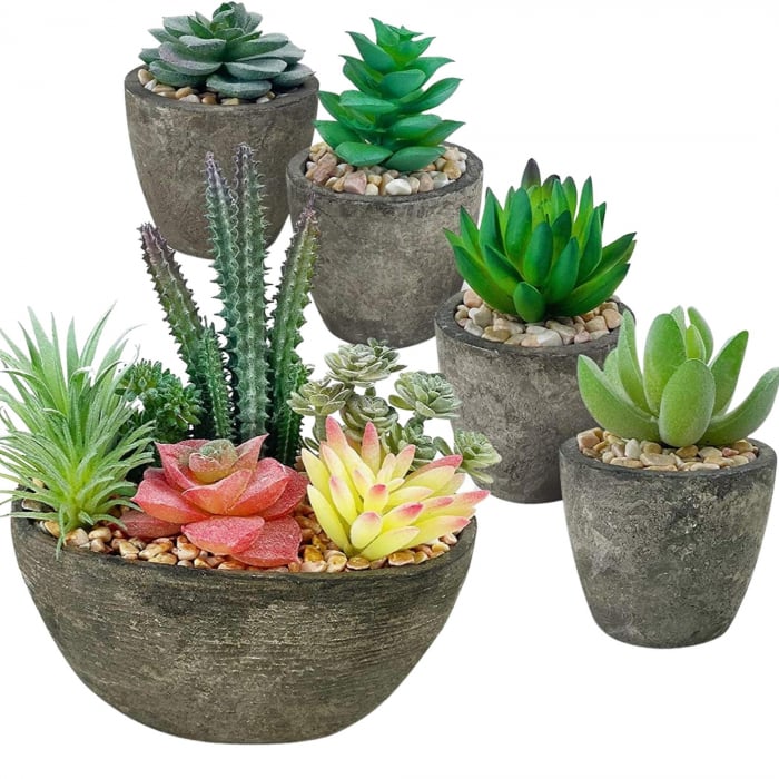 Set 5 Plante Artificiale Suculente Realist Confecționate cu Ghivece din Piatra, Inaltime 18 cm