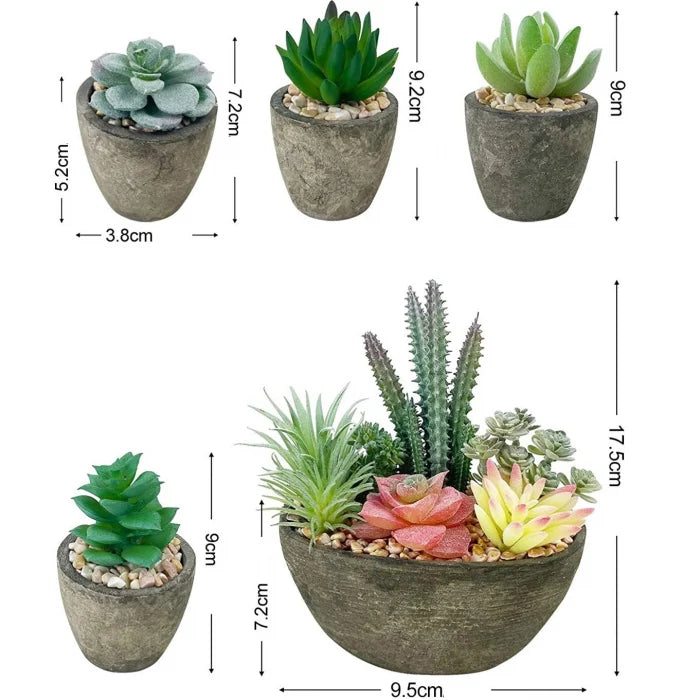 Set 5 Plante Artificiale Suculente Realist Confecționate cu Ghivece din Piatra, Inaltime 18 cm
