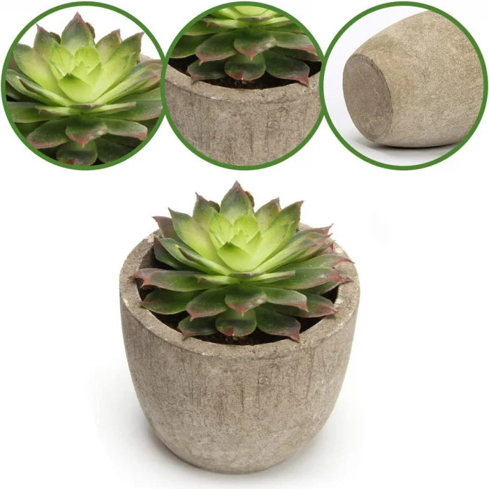 Set 5 Plante Artificiale Suculente Realist Confecționate cu Ghivece din Piatra, Inaltime 15 cm