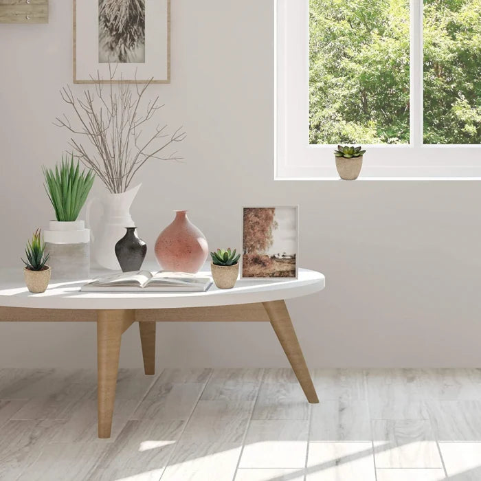Set 5 Plante Artificiale Suculente Realist Confecționate cu Ghivece din Piatra, Inaltime 15 cm