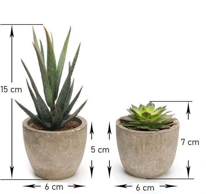 Set 5 Plante Artificiale Suculente Realist Confecționate cu Ghivece din Piatra, Inaltime 15 cm