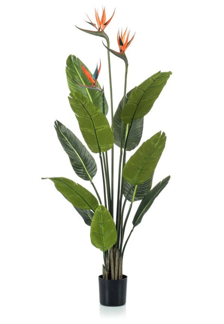 Plante Artificiale