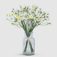 Buchet de Margarete Artificiale - 6 Fire, Disponibil în 3 Culori (Alb, Albastru, Galben)