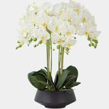 Orhidee Artificiala Phalaenopsis Alba XXL – 53 cm, ghiveci ceramic inclus