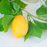Ghirlanda de Lamai Artificiale – 1,75 m, 7 Lamai cu Flori – Decor Fresh si Natural pentru Casa si Evenimente