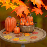 🎃 Set 7 Dovleci Artificiali pentru Decor Toamna si Halloween – Accesorii Decorative pentru Casa si Evenimente