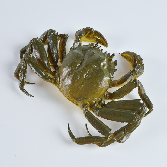 Crab Artificial Decorativ – Aspect Realist