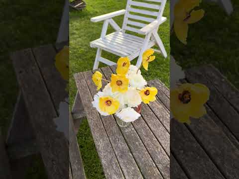 Buchet Artificial cu 11 Fire – Anemone Galbene si Ranunculus Albi, 28 cm, Vaza Inclusa