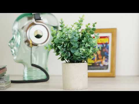 Set 2 Plante Artificiale în Ghiveci – Eucalipt și Ficus 22cm, Decor Natural