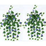 Set 2 Ramuri Ghirlandă Zorele Albastre, Plante Agățătoare Morning Glory, 90 cm