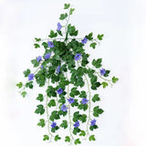 Set 2 Ramuri Ghirlandă Zorele Albastre, Plante Agățătoare Morning Glory, 90 cm