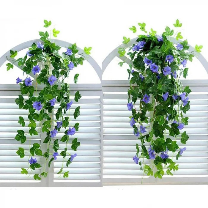 Set 2 Ramuri Ghirlandă Zorele Albastre, Plante Agățătoare Morning Glory, 90 cm