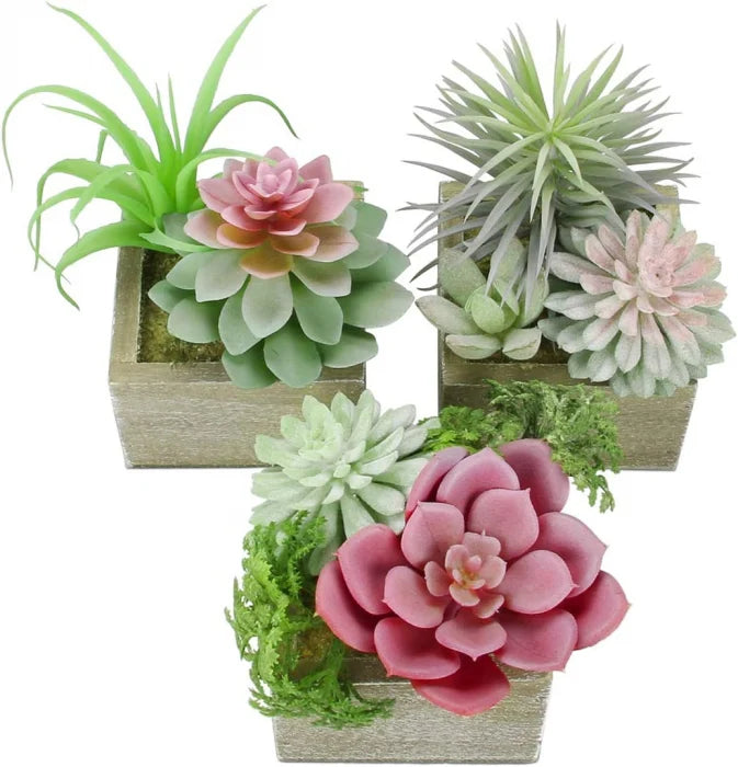 Set 3 Plante Mici in Ghiveci de Lemn, Decor Artificial pentru Casa si Birou, Inaltime 12 cm