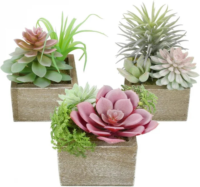 Set 3 Plante Mici in Ghiveci de Lemn, Decor Artificial pentru Casa si Birou, Inaltime 12 cm