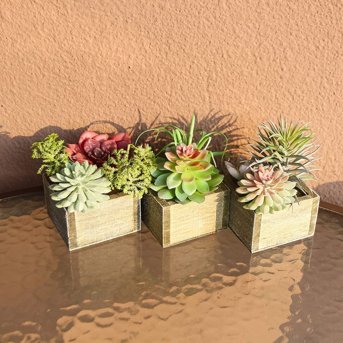 Set 3 Plante Mici in Ghiveci de Lemn, Decor Artificial pentru Casa si Birou, Inaltime 12 cm