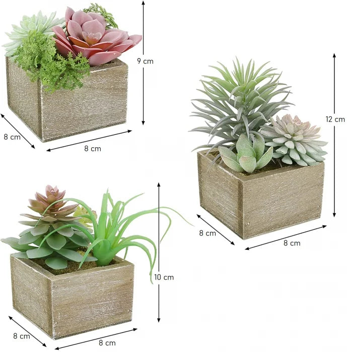 Set 3 Plante Mici in Ghiveci de Lemn, Decor Artificial pentru Casa si Birou, Inaltime 12 cm