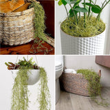 Set 3 Plante Muşchi Artificial de Verdeaţă, Decor pentru Plante Agatatatoare sau în Ghivece, Lungime 80 cm