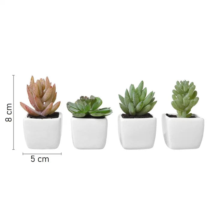 Set 4 Plante Artificiale în Ghivece din Ceramică în Formă de Cub Alb Modern, Inaltime 8 cm