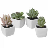 Set 4 Plante Artificiale în Ghivece din Ceramică în Formă de Cub Alb Modern, Inaltime 8 cm