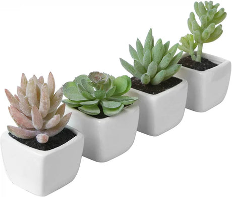 Set 4 Plante Artificiale în Ghivece din Ceramică în Formă de Cub Alb Modern, Inaltime 8 cm