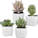 Set 4 Plante Artificiale în Ghivece din Ceramică în Formă de Cub Alb Modern, Inaltime 8 cm