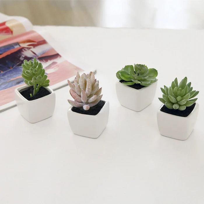 Set 4 Plante Artificiale în Ghivece din Ceramică în Formă de Cub Alb Modern, Inaltime 8 cm