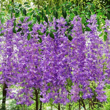 Set 6 Bucati Planta Artificiala Curgatoare Glicina Wisteria Mov cu Frunze, Lungime 1.1 m